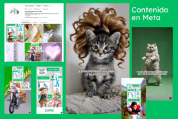 creacion e-commerce para cuipet creada por nice people group