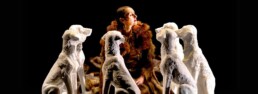 una mujer rodeada de perros blancos de porcelana